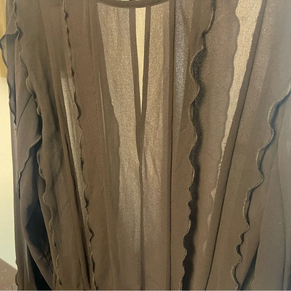 Zara Short Ruffle Dress, Sheer Black Long Sleeve, Parties, Dance, Cocktails, M - Picture 11 of 13